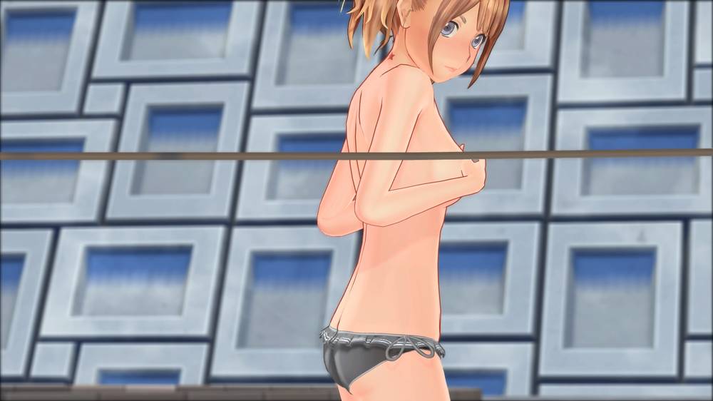 【バカゲー】LoveR Kiss で撮影できるもの色々