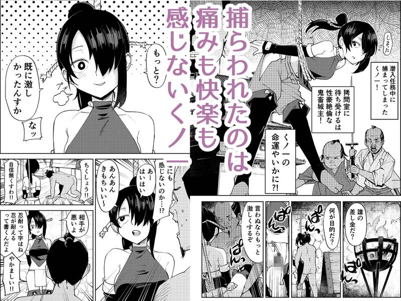 【ふたなり】ふたなり化くノ一拷問 ～拷問耐性持ちくノ一 初めてのペニス責め～ 感想レビュー