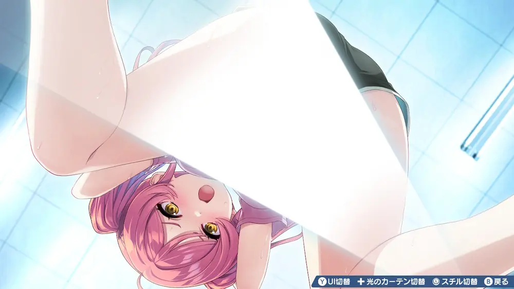 【バカゲー】バニーガーデン2 Switch版のいいところ